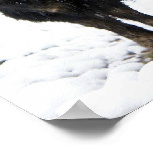 ヤク ポスター (角)