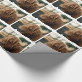 ヤク ラッピングペーパー (角)