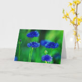 ヤグルマギクの挨拶状 カード (黄色い花)