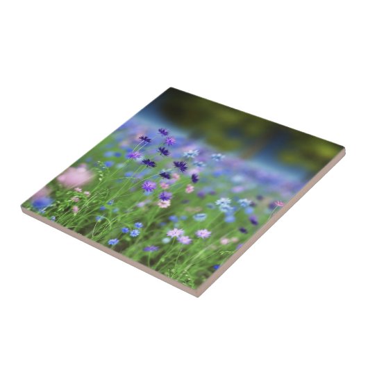 ヤグルマギクの青く装飾的なタイル タイル (側面)