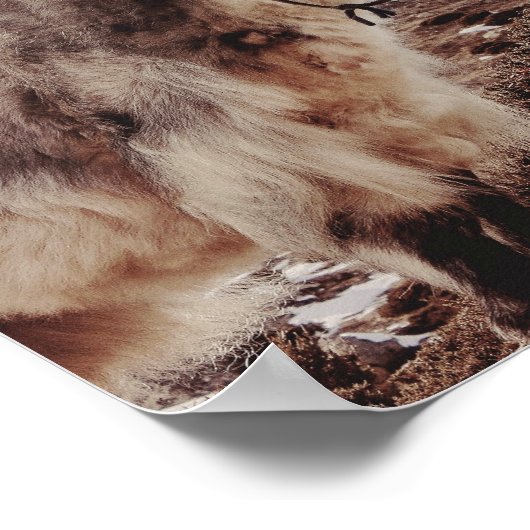 ヤケティヤク ポスター (角)