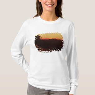 ヤコブおよびEsauの会合 Tシャツ