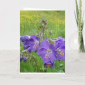 ヤコブのはしごカード カード (裏面)