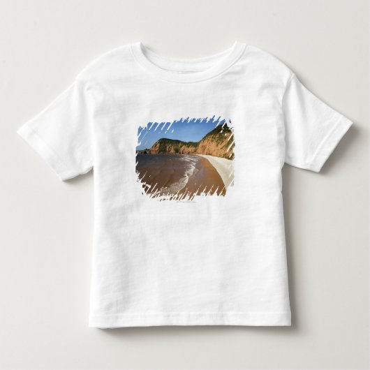 ヤコブの梯子湾 トドラーTシャツ (正面)
