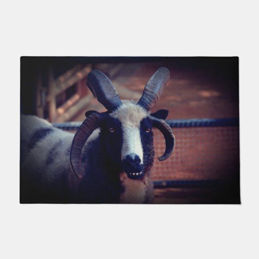 ヤコブ・ヒツジ ドアマット (正面)