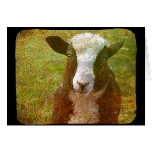 ヤコブ・ラム (正面横)