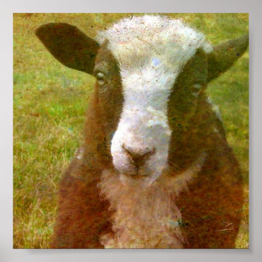 ヤコブ・ラム ポスター (正面)