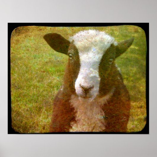 ヤコブ・ラム ポスター (正面)