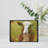 ヤコブ・ラム ポストカード (スタンド正面)