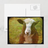 ヤコブ・ラム ポストカード (正面/裏面)