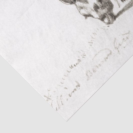 ヤゴアエフエマデクページヴィンテージファーム 薄葉紙 (詳細)