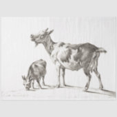 ヤゴアエフエマデクページヴィンテージファーム 薄葉紙 (正面)