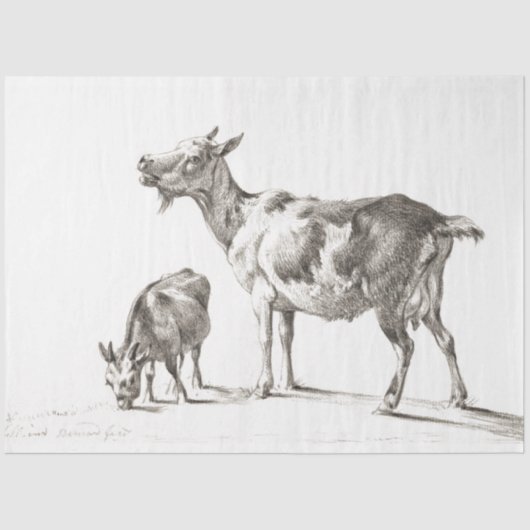 ヤゴアエフエマデクページヴィンテージファーム 薄葉紙 (正面)