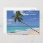 ヤシの木から出たメリーカリブのクリスマス シーズンポストカード (正面/裏面)