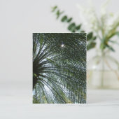 ヤシの木から見える日光 ポストカード (スタンド正面)