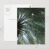 ヤシの木から見える日光 ポストカード (正面/裏面)