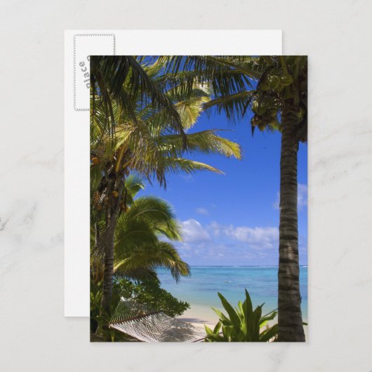 ヤシの木が並ぶビーチ クック諸島 2 ポストカード (正面/裏面)