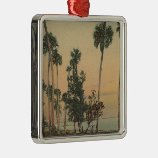 ヤシの木が付いているインドの川の海岸線の眺め メタルオーナメント (右)