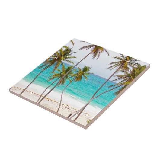 ヤシの木が付いている熱帯ビーチ タイル (側面)