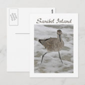 ヤシの木とサンゴ礁、美しいサンイベル島のポストカード　シロハシコロギ ポストカード (正面/裏面)