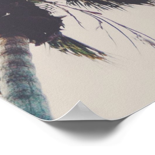 ヤシの木とターコイズスカイフォト ポスター (角)