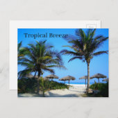 ヤシの木と海ビューポストを持つサンディビーチ ポストカード (正面/裏面)