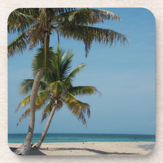 ヤシの木と白い砂のビーチ コースター (正面)