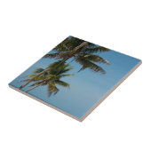 ヤシの木と白い砂のビーチ タイル (側面)