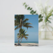 ヤシの木と白い砂のビーチ ポストカード (スタンド正面)