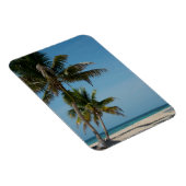 ヤシの木と白砂のビーチ マグネット (右側)