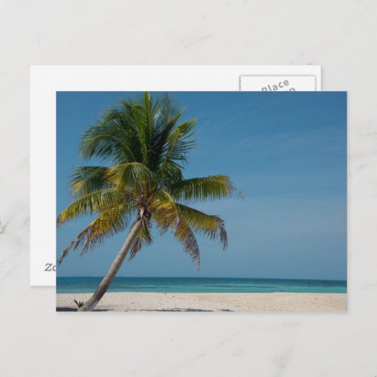ヤシの木と白砂ビーチ2 ポストカード (正面/裏面)