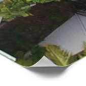 ヤシの木に囲まれたプールの空中表示 ポスター (角)