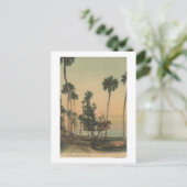 ヤシの木のあるインディアン川の海岸線ビュー ポストカード (スタンド正面)