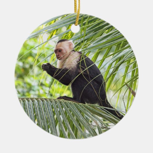 ヤシの木のかわいい猿 セラミックオーナメント (正面)