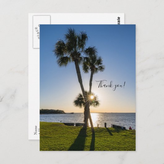 ヤシの木のはさみシルエット感謝のポストカード ポストカード (正面/裏面)