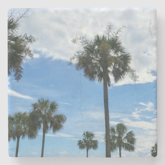 ヤシの木のみ ストーンコースター (正面)