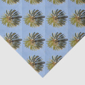 ヤシの木のティッシュペーパー 薄葉紙 (詳細)