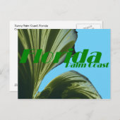 ヤシの木のポストカードの下 ポストカード (正面/裏面)
