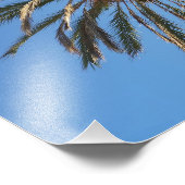 ヤシの木の冠 フォトプリント            (角)