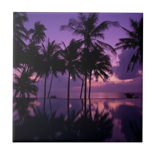 ヤシの木の反射 タイル (正面)