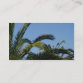 ヤシの木の名刺 名刺 (裏面)