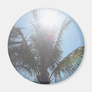 ヤシの木の夏の日 マグネット