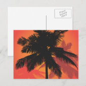ヤシの木の夕日シルエット ポストカード (正面/裏面)