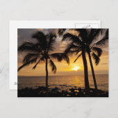 ヤシの木の夕日 ポストカード (正面/裏面)