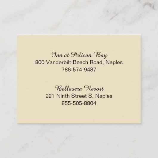 ヤシの木の搭乗券の青及びクリーム 名刺 (裏面)