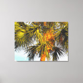 ヤシの木の枝、午後の太陽 キャンバスプリント (正面)
