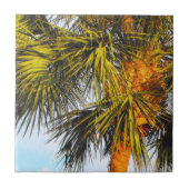 ヤシの木の枝、午後の太陽 タイル (正面)