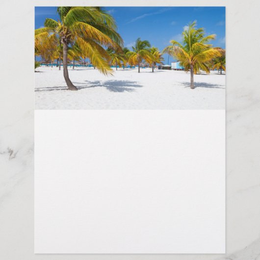 ヤシの木の海ビーチ チラシ (正面)