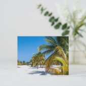 ヤシの木の海ビーチ ポストカード (スタンド正面)