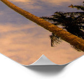 ヤシの木の熱帯夏の写真 ポスター (角)